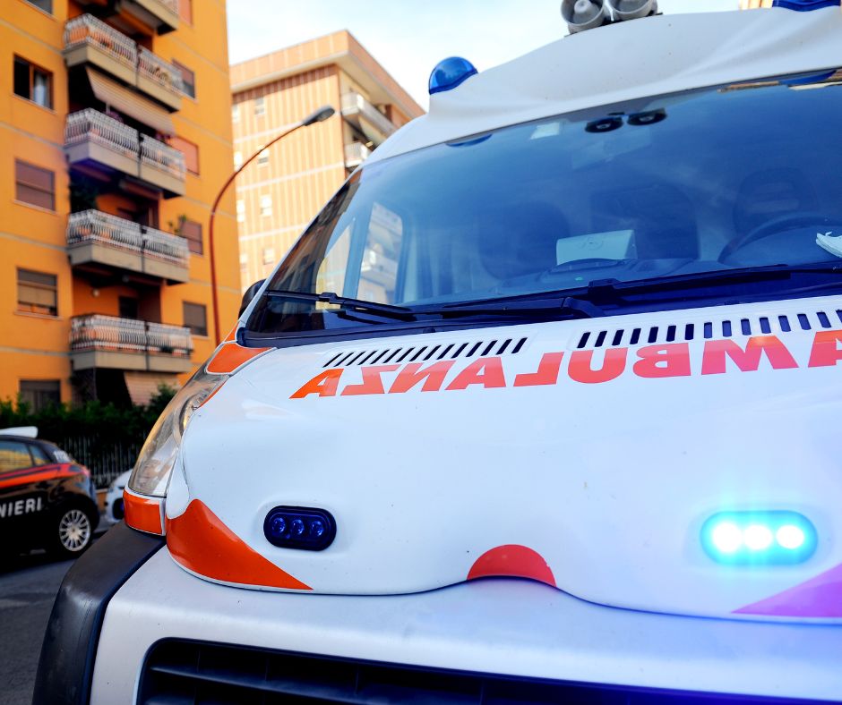 Cinghiale avvistato tra le strade del paese