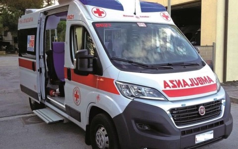 Residenti preoccupati per la presenza quotidiana dei cinghiali