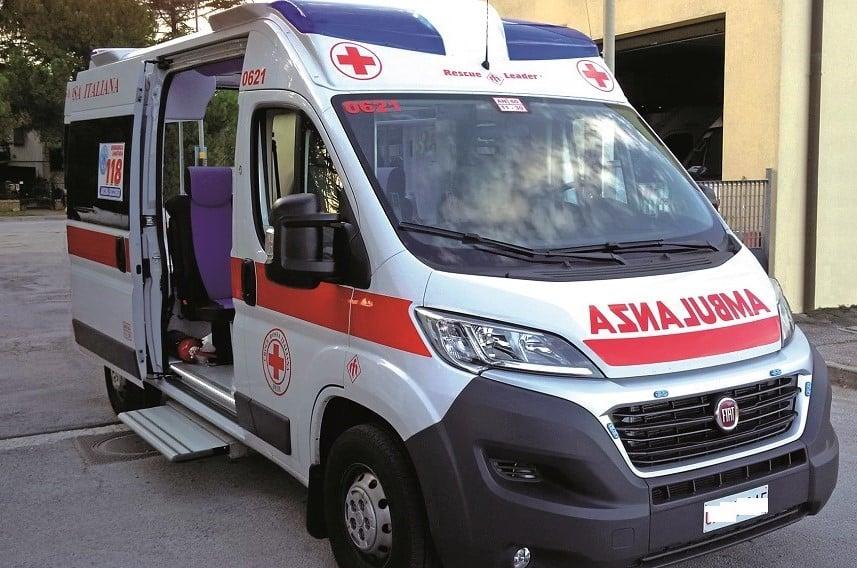 Residenti preoccupati per la presenza quotidiana dei cinghiali