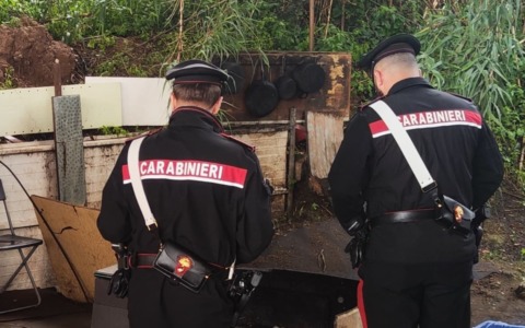 Sanzioni per tagli irregolari nei boschi della provincia di Rieti