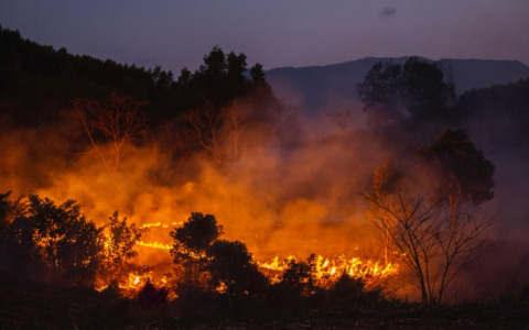 Incendio sopra Poggio Bustone, in azione i Vigili del Fuoco