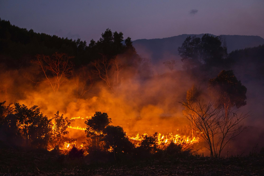 Incendio sopra Poggio Bustone, in azione i Vigili del Fuoco