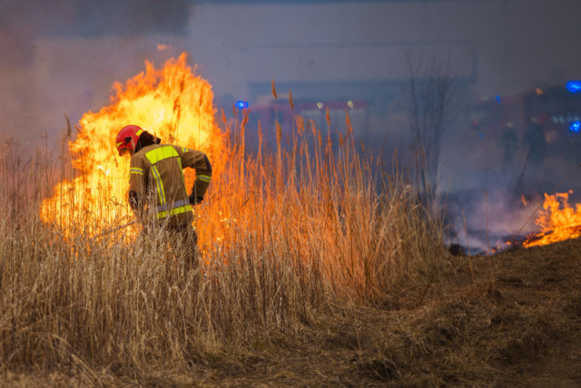 Incendio doloso vicino a bosco, denunciato un 49enne