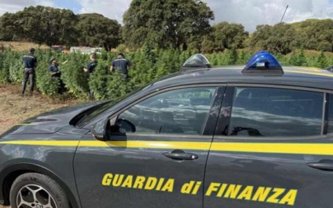 Sequestrata area di 57mila mq per irregolarità ambientali: imprenditore denunciato