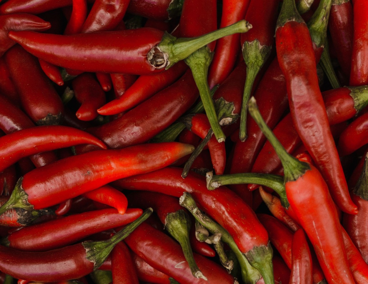 Il Campo Catalogo Jucci ospita l’Open Day sul peperoncino
