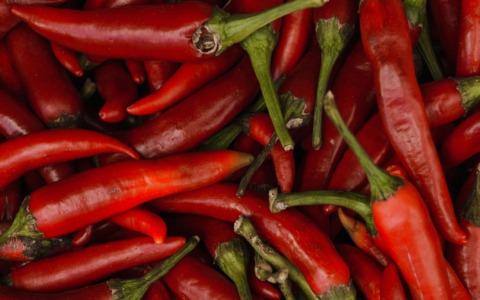 Il Campo Catalogo Jucci ospita l’Open Day sul peperoncino